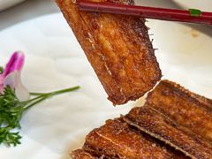 -唐猫庭院·千年陕菜(大唐不夜城店)