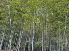 -九龙潭景区