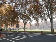 -河南省黄河迎宾馆