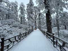 -瓦屋山景区