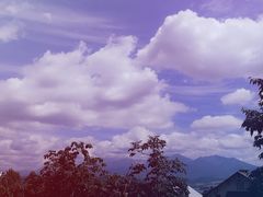 -富田农场