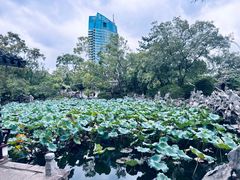 -无锡蠡湖国家湿地公园-蠡园