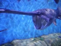 -石林冰雪海洋世界