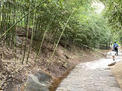 -沂蒙云瀑洞天景区