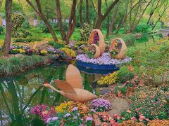 -上海共青森林公园