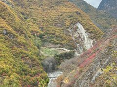 -金鼎雪山牦牛杂火锅(理县总店)