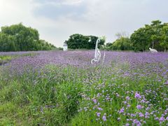 -梁鸿国家湿地公园