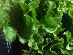 -仓库烤肉(绿园店)