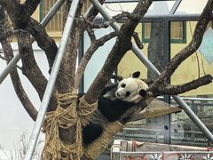 -无锡动物园·太湖欢乐园