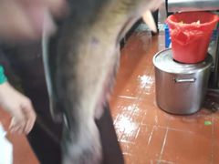 -新珠城鱼坊(龙湖店)