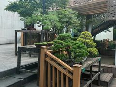 -陈家山荷花公园