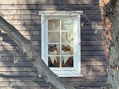 -三鹰之森吉卜力美术馆