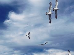 -那香海钻石沙滩浴场