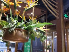 -云海肴云南菜·蒸汽石锅鱼(北京良乡华冠店)