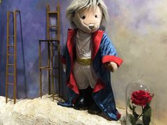 -济州岛泰迪熊博物馆