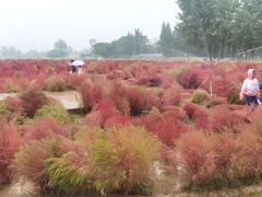 -汉长安城未央宫国家考古遗址公园