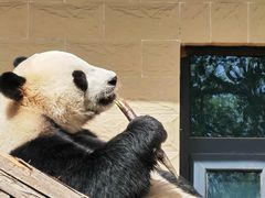 -石家庄市动物园