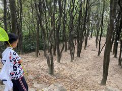 -火炉山森林公园
