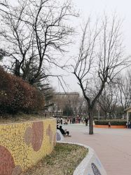 -酷酷兔少儿拓展天地