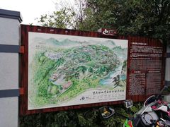 -铁山坪森林公园