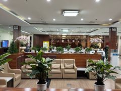 -桃仙机场头等舱休息室