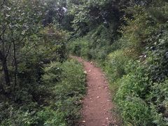 -北京鹫峰国家森林公园