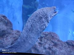 -成都浩海立方海洋公园