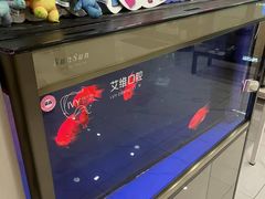 -艾维口腔(春江花月门诊部)