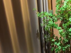 -泰·菩提树下[泰式按摩x精油SPAx肩颈头疗](新景店)