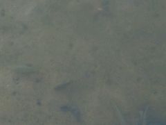 -石岩湖温泉度假村