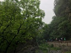 -北京上方山国家森林公园