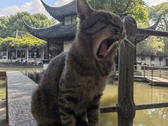 -西园戒幢律寺