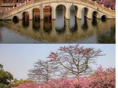 -宝墨园景区