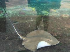 -广州海洋馆