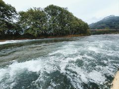 -九曲溪竹筏码头