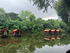 -侨美·唐荔园·40年地道粤菜