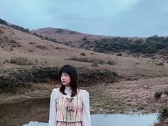 -大姆山草场