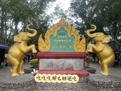 -西双版纳傣族园