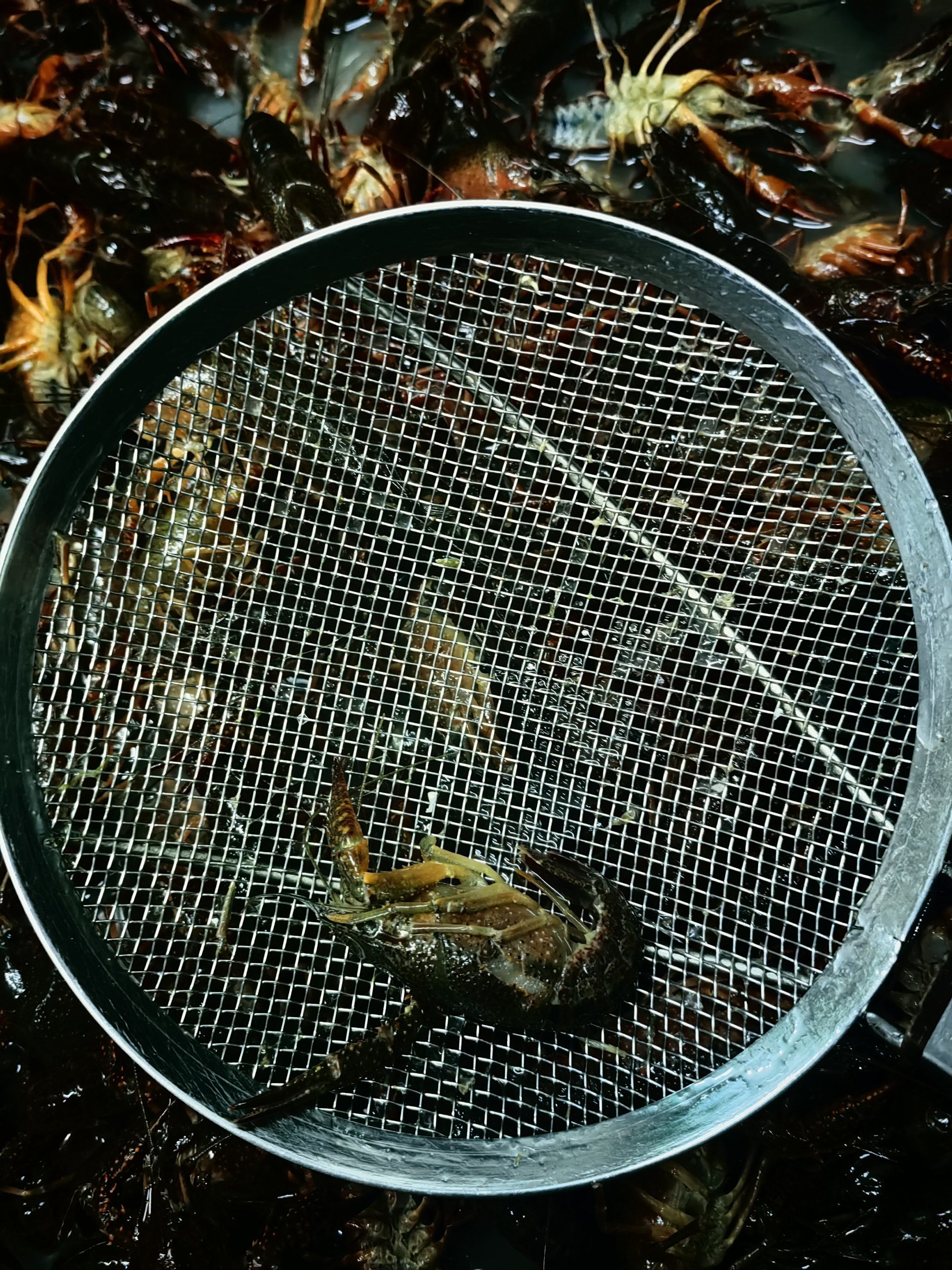 清洗小龙虾,清理死虾!