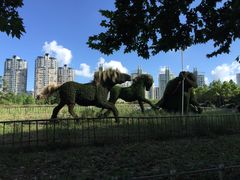 植物雕塑-世纪公园