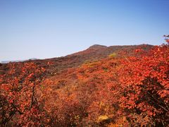 -周口店坡峰岭风景区