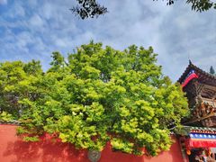 -塔尔寺