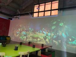 -恐龙探索乐园(磁器口店)