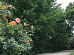 -朝阳公园体育中心
