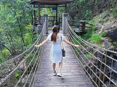 -九龙江国家森林公园