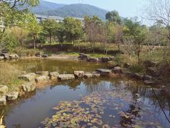 -宁波九龙湖开元度假村