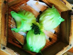 -美食小镇·观赏珍稀鸟类·长隆熊猫酒店