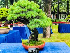 -汇龙潭