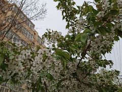 -青岛第三海水浴场