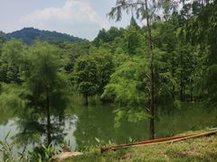 -广州市白云山风景名胜区